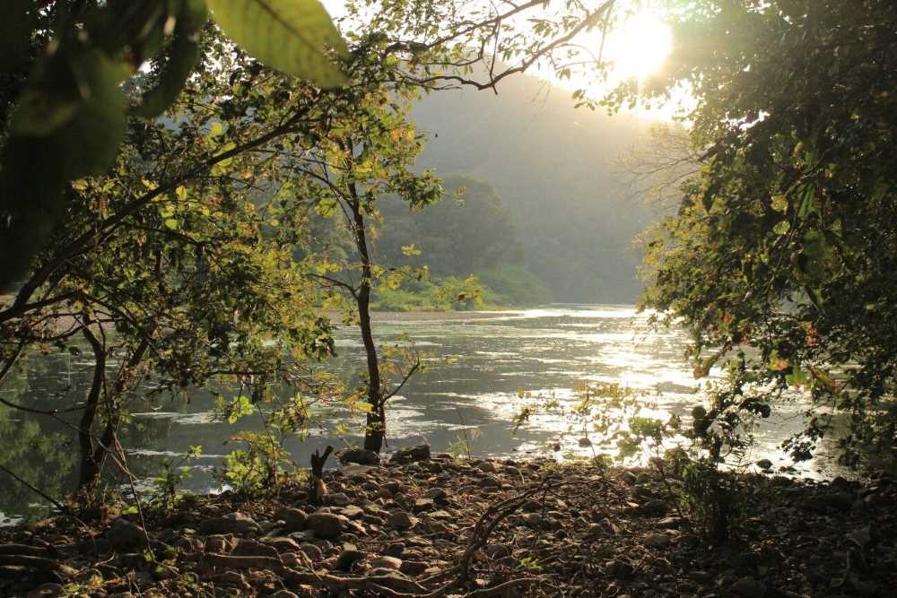 Polo Forest Trekking